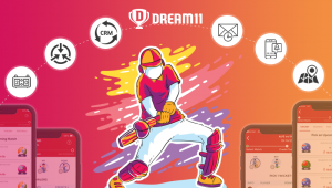 Extra features of Dream11