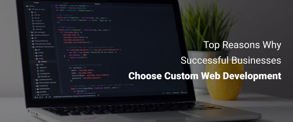 top-13-reasons-why-successful-businesses-choose-custom-web-development
