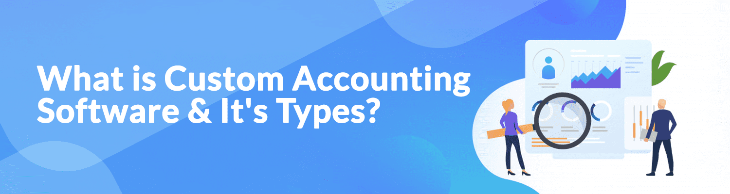 What-is-Custom-Accounting-Software-&-Its-Types