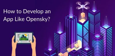 How to develop an app like Opensky