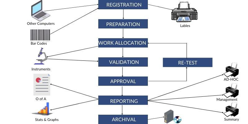Lab Information Management Software (LIMS) Development: A Complete ...