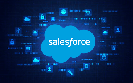 Salesforce Seamless Integration