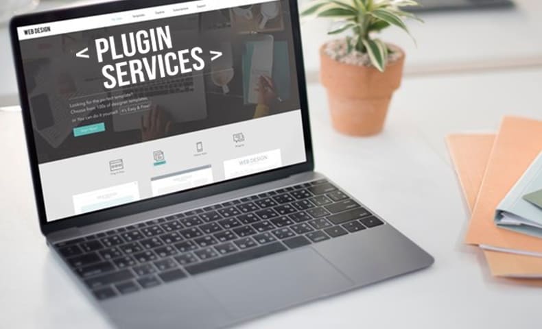 DRM-Plugin-Services