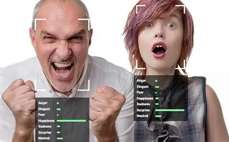 Facial Emotion Recognition