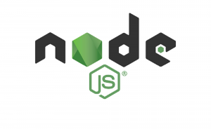 node js web development