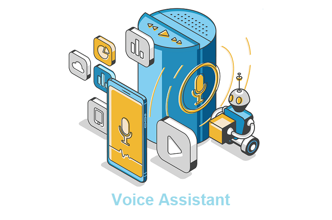 Voice Assistant