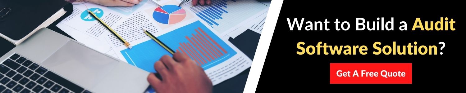 audit-software-development
