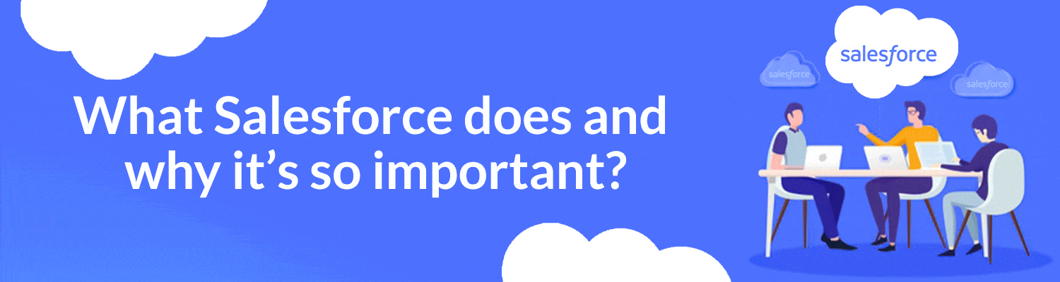 custom salesforce CRM software