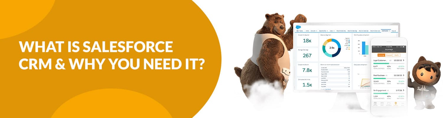 What-is-Salesforce-CRM-&-Why-You-Need-It