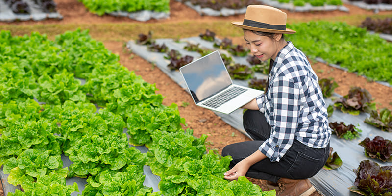 IoT-Based-Agriculture-Monitoring-Systems