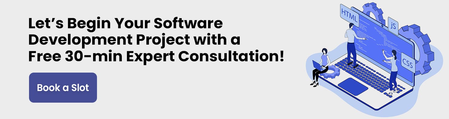 software development project consultation