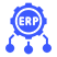 Enterprise Resource Planning (ERP) Systems