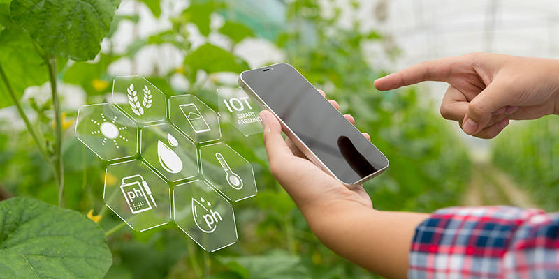 IOT in agriculture
