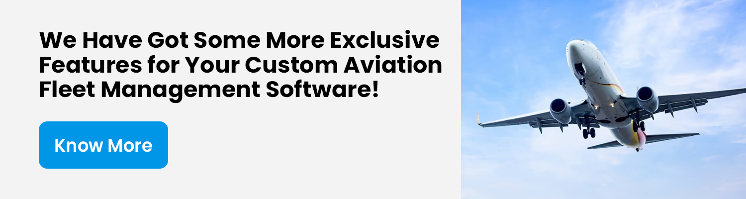 Custom Aviation Fleet Management Software