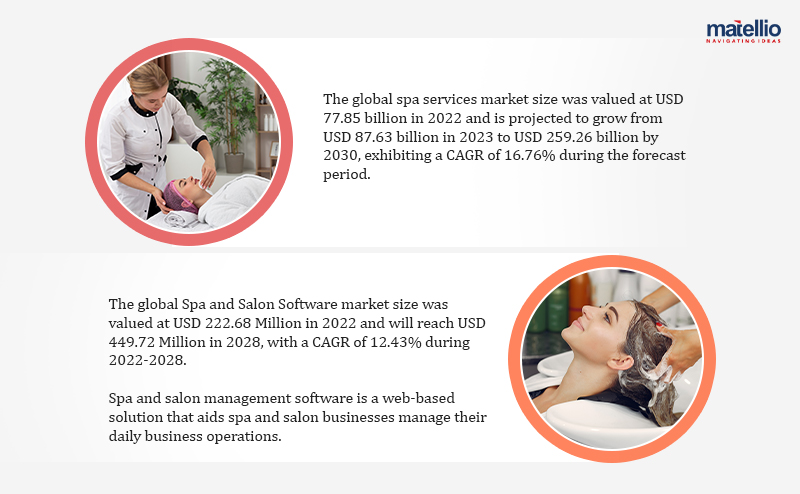 stats of spa management software