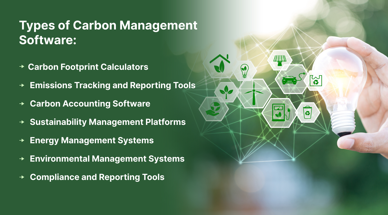 Types of Carbon Management Software