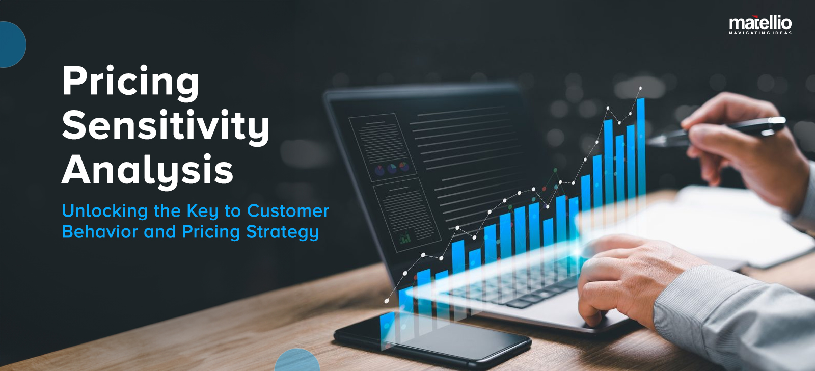 Pricing Sensitivity Analysis